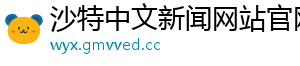 沙特中文新闻网站官网